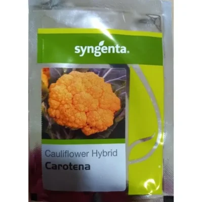 Carotena Cauliflower Syngenta