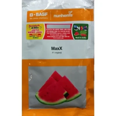 Maxx Hybrid Watermelon
